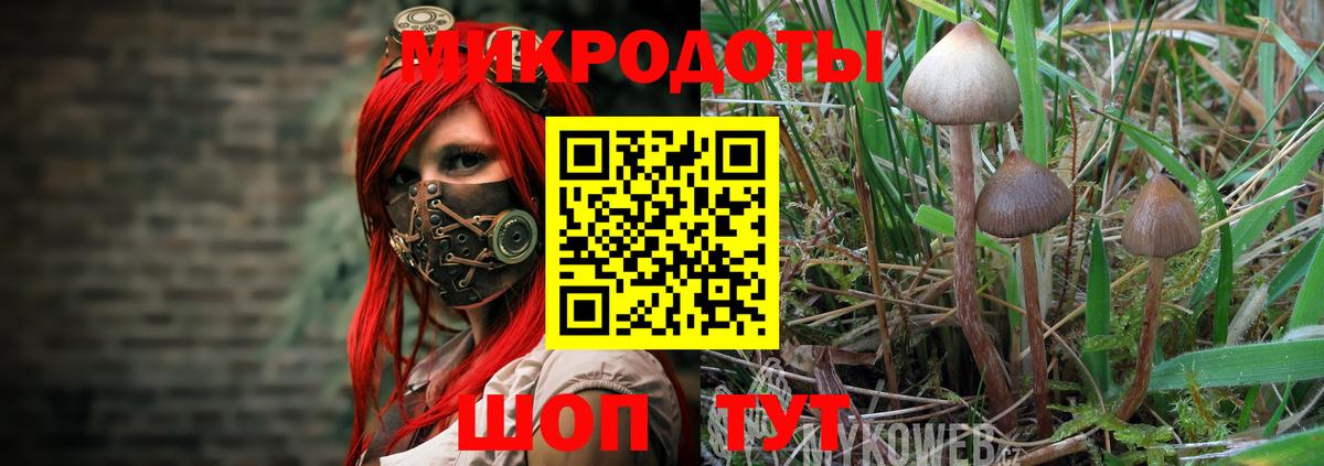 Псилоцибиновые грибы прущие грибы Арсеньев