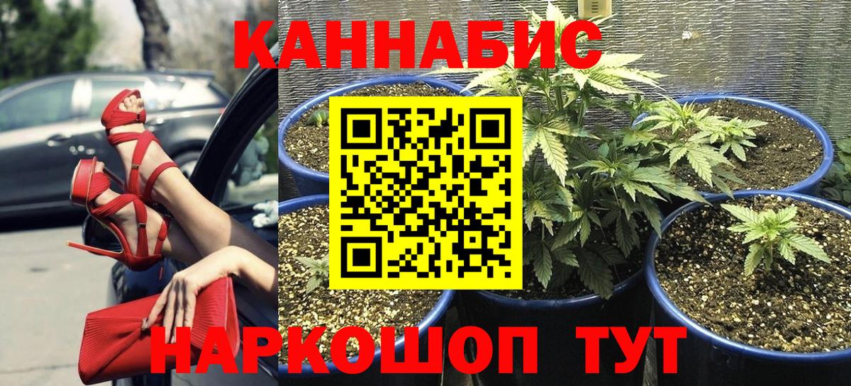 Арсеньев  Шишки марихуана THC 21%  Конопля LSD WEED  Вход с VPN  Бошки Шишки Amnesia 